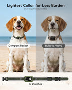 SLOPEHILL Mini Shock Collar for Small Dogs 5-30lbs,Featuring No Shock Mode | 4200FT Dog Training Collar with Remote, IPX8 Waterproof e Collar with Beep,Vibration,Safe Shock,Light,No Shock Modes (Green)