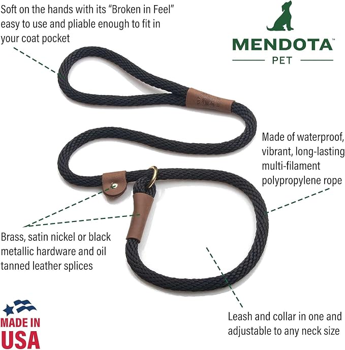 Mendota Pet Slip Leash - Dog Lead and Collar Combo - Made in The USA - Ivy, 3/8 in x 4 ft - for Small/Medium Breeds