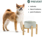 Havniva Dog Bowls Elevated, Ceramic Dog Food and Water Bowl | 7.3” Raised Dog Food Bowl, Elevated Dog Bowls with Bamboo Stand, Non-Slip Dog Water Bowl for Medium Dog, Large Capacity