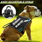 WINSEE Service Dog Harness & Leash Set, Large, Black with 10 Patches, Reflective, Adjustable, for Medium & Large Dogs