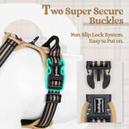rabbitgoo Dog Harness, No Pull for Large Dogs with 2 Leash Clips, Pet Vest | No Choke with Handle, Adjustable Soft Padded, Reflective, Easy Control for Walking, Beige Plaid, Large