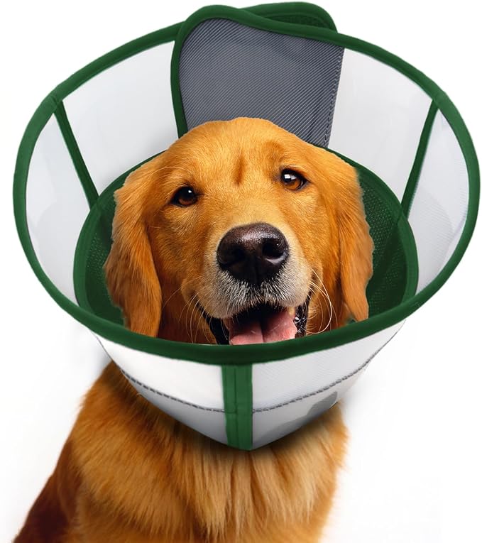 WinWeal Upgraded Soft Dog Cone Collar for Large Medium Dogs After Surgery – Adjustable Transparent Recovery Collar, Breathable Elizabethan E-Collar for Wound Healing & Anti-Licking (M, Dark Green)