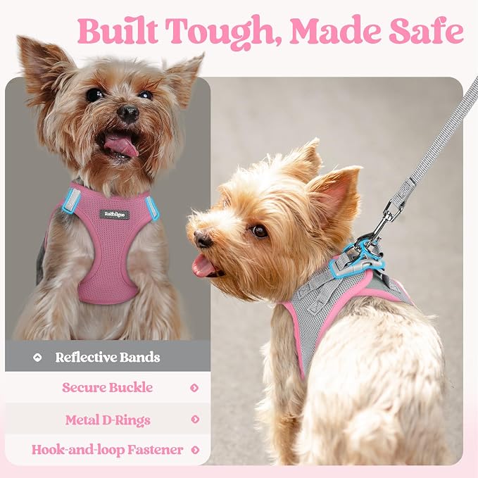 rabbitgoo Dog Harness Small Sized and Leash Set, Step-in Puppy Pet Vest | Light, Soft, Breathable Air Mesh, Easy on and Remove with Hook & Loop, Secure Reflective for Walking, Light Pink & Gray M