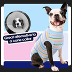 FUAMEY Dog Surgery Recovery Suit, Surgical Suit for Dogs Onesie for Surgery | Cone Alternative after Surgery, Abdominal Wound Protector, Onesie for Dogs after Surgery Spay Neuter, Blue Yellow Stripes XS