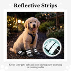 Allroaring 4PCS Anti-Slip Dog Boots,Dog Shoes for Hot Pavement Black-1 | Non-Slip Rubber Sole, Durable Reflective Straps, Paw Protector for Snow & Hot Pavement, for Medium Large Dogs – Pink/Black