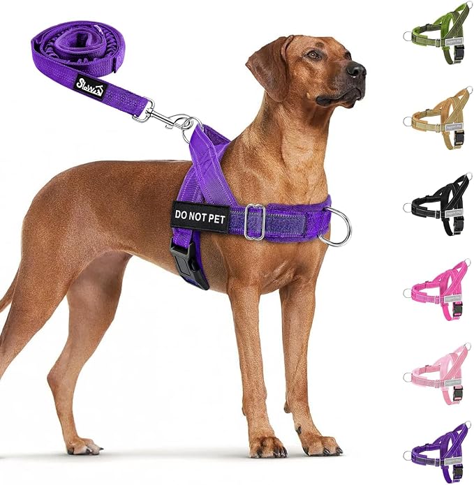 SlowTon No Pull Dog Harness - Heavy Duty Dog Harness and Leash Set for Medium Large Dogs, Reflective Tactical Harness with Soft Padded and Front Clip for Easy Walk and Training (Purple, L)