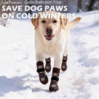 EXPAWLORER Dog Socks to Prevent Licking Paws,Dog Shoes for Hot Pavement,4 Pcs Double Sided Anti Slip Dog Socks with Grippers,Dog Booties for Small Medium Large Senior Dogs,British Style,Brown M