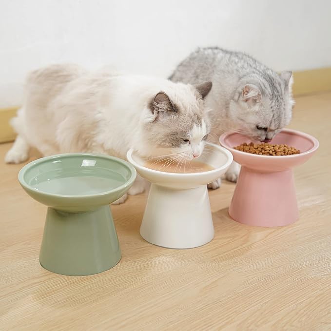 CEEFU 2-Pack Extra Wide Elevated Ceramic 6.2" Shallow Cat Food Bowls | Cat Dish for Whisker Fatigue Relief, 5" Height for Easy Feeding, Durable Raised, Sage Green