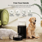 CZPET Dog Water Bowl Dispenser 8L, Wider Mouth Gravity Refilling (Black) | With Stainless Steel Bowl Gravity Waterer, Large Capacity and Drinking Area Noise-Free for Pets