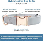 Soft Leather Dog Collar and Leash (6.6') Set - Stylish Rose Gold Heavy Duty Metal Buckle, 4 Adjustable Lengths Leash for Small Medium Large Dogs - Comfortable & Easy to Clean Grey M(13.8"-19.7")