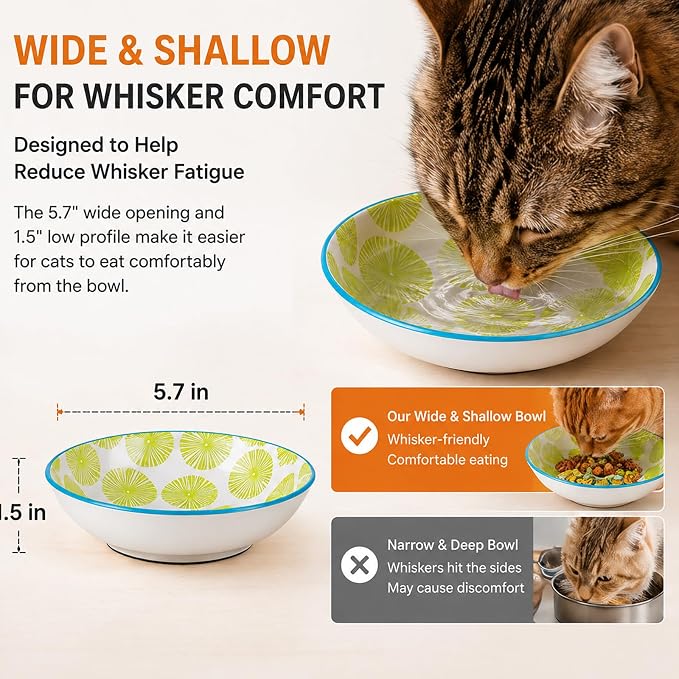 Ceramic Cat Food Bowls, 6 Pack 5.7-in Non-Slip Cat Dishes for Food, Water | Food-Safe Ceramic, Shallow Whisker-Friendly Plates For Wet Meals, Kibble, Multi-Cat Homes, Dishwasher And Microwave Safe