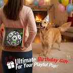 QDAN Large Dog Toys, Soccer Ball for Dogs with Straps, 9 Inch Big Dog Ball | Training Soccer Balls for >90 lbs Dogs, Giant Herding Ball for Dogs, Interactive Water Pool Toys for Tug Chase, Dog Birthday