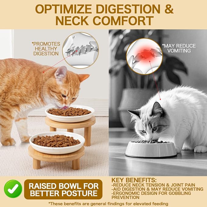 6 Inch Shallow Ceramic Elevated Cat Bowl, Whisker-Friendly Raised Flat Cat Food Plate Feeding Station with Bamboo Stand for Indoor Cats and Kittens (Set of 2, 1.8" & 3" Stand, White)