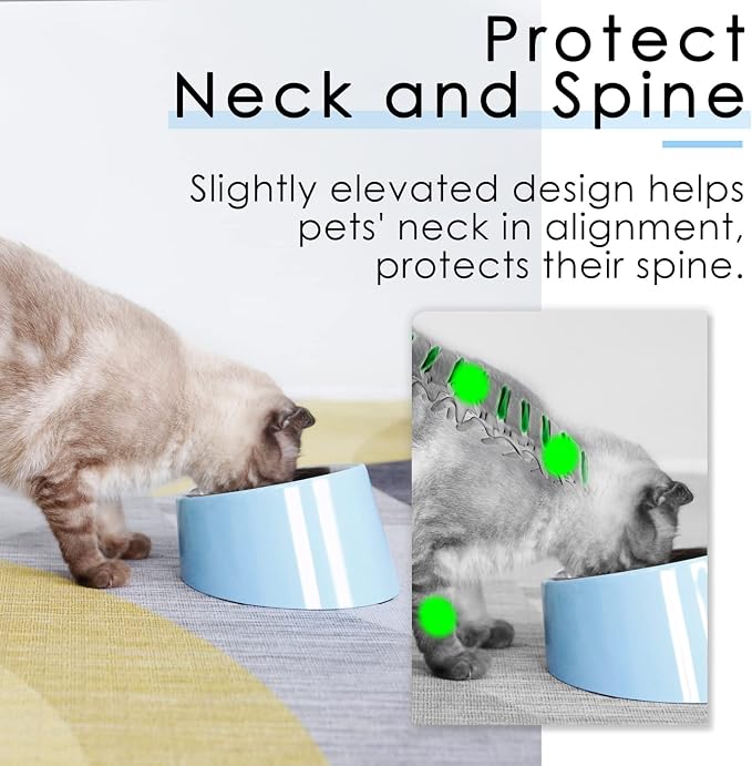 SuperDesign Mess Free 15° Slanted Bowl for Dogs and Cats, Tilted Angle Bulldog Bowl Dog Feeder, Non-Skid & Non-Spill, Easier to Reach Food S/0.5 Cup Blue