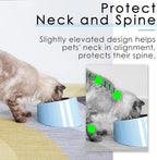 SuperDesign Mess Free 15° Slanted Bowl for Dogs and Cats, Tilted Angle Bulldog Bowl Dog Feeder, Non-Skid & Non-Spill, Easier to Reach Food S/0.5 Cup Blue