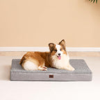 EHEYCIGA Orthopedic Dog Bed Extra Large with Removable Washable Cover,44x32 | Egg Crate Foam Support,Durable Oxford fabric,Non-Slip Bottom,Machine Washable,Soft Waterproof Plush Pet Bed Mat For Crate