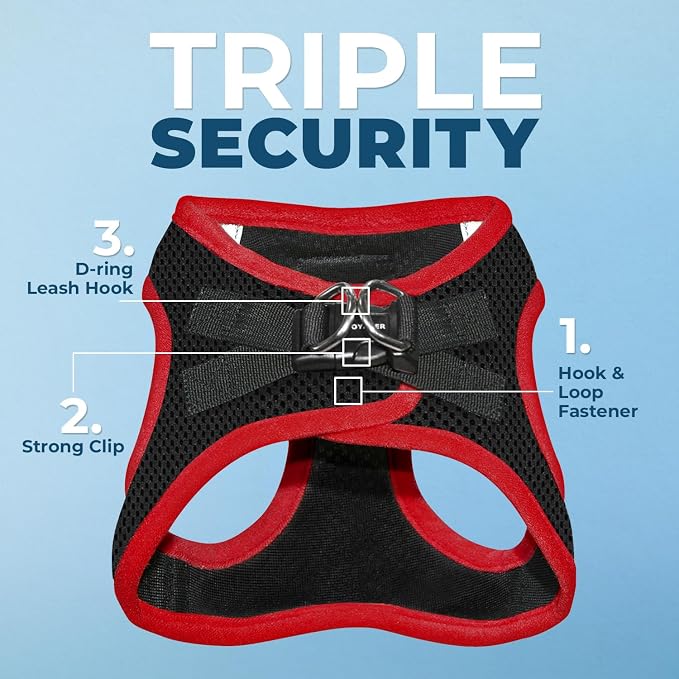 Best Pet Supplies Voyager Step-in Air All Weather Mesh Harness and Reflective Dog 5ft Leash Combo with Neoprene Handle, for Small, Medium and Large Breed Puppies - Red Trim, X-Small