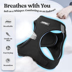 rabbitgoo Dog Harness Medium Sized and Leash Set, Step-in Puppy Pet Vest | Light, Soft, Breathable Air Mesh, Easy on and Remove with Hook & Loop, Secure Reflective for Walking, Black XL