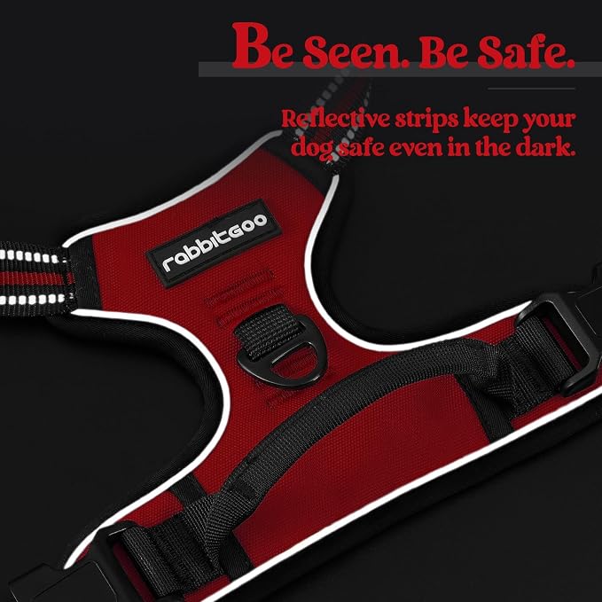 rabbitgoo Dog Harness, No Pull for Large Dogs with 2 Leash Clips, Pet Vest | No Choke with Handle, Adjustable Soft Padded, Reflective, Easy Control for Walking, Red, Large