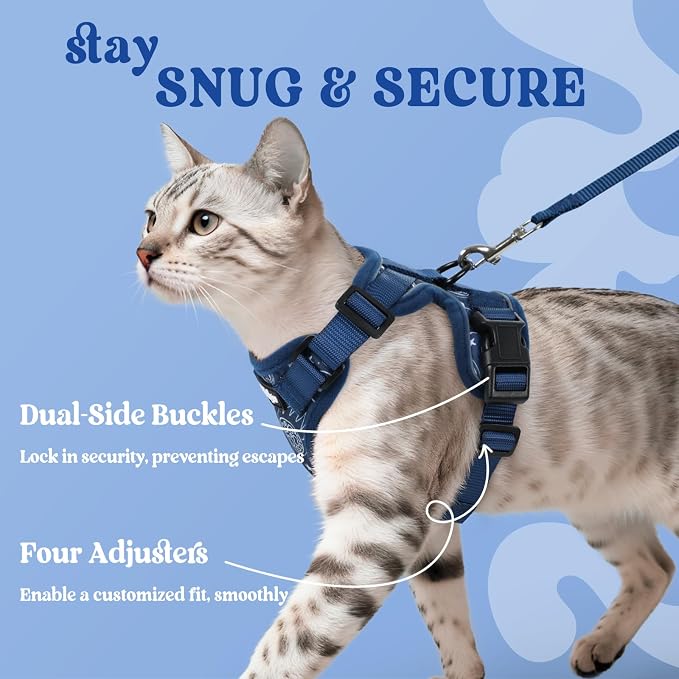 rabbitgoo Cat Harness and Leash Set, Escape Proof Vest, Cosmic Ace | Soft Breathable Mesh, Easy Adjustable Fit, Snap Buckles, Sturdy Clip, Reflective Strips, for Medium to Large Cats Walks, M