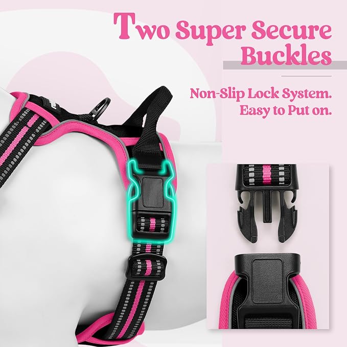 rabbitgoo Dog Harness, No Pull Medium Sized with 2 Leash Clips, Pet Vest | No Choke with Handle, Adjustable Soft Padded, Reflective, Easy Control for Walking, Black & Hot Pink, Medium
