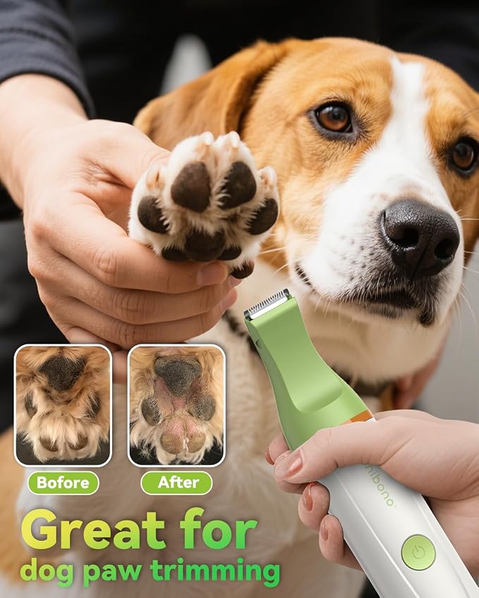 Dog Grooming Kit with Paw Trimmer, All-in-One Low Noise Electric Rechargeable Small Quiet Pet Clippers Foot Dog Hair Shaver with Stainless Steel Scissors and Comb for Dogs at Home (Green)