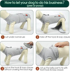 Kuoser Dog Recovery Suit for Male Dogs, Post-Surgery Bodysuit for Spay Neuter, Dog Onesie After Surgery, Anti-Licking Pet Surgical Recovery Suit, Gray S