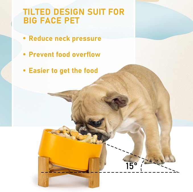 SPUNKYJUNKY 15° Slanted Ceramic Dog and Cat Bowl with Wooden Stand, Tilted Bulldog Food and Water Bowl No Slip Non-Spill for Cats Medium Dogs Big Face Pets 28.7 OZ (3.6 Cups, Yellow)
