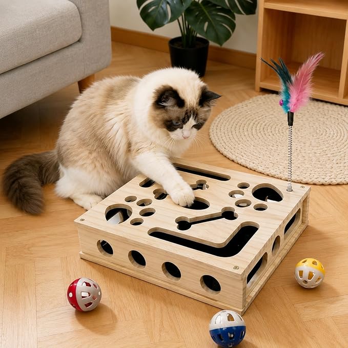Cat Nail File Box, Cat Nail File Scratcher Puzzle Enrichment Box with Sandpaper, Interactive Cat Puzzle Feeder Treat Toy for Indoor Cats, Natural Claw Care