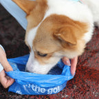 Deo Doo Dog Poop Bags with Handles, 360 Counts, 30 Refill Rolls | Iris Scented, Extra Thick Leak Proof, Easy-Tie Design for Multi-Pet Waste and Cat Litter Cleanup