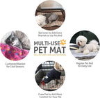 Mora Pets Dog Bed Crate Pad Ultra Soft Pet Mat Star Print 22 Inch Brown | Washable Crate Mat for Large Medium Small Dogs, Reversible Fleece Dog Crate Kennel Mat Flat Cat Bed Liner