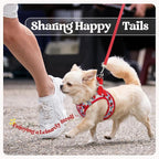 rabbitgoo Dog Harness Small Sized and Leash Set, Step-in Puppy Pet Vest | Light, Soft, Breathable Air Mesh, Easy on and Remove with Hook & Loop, Secure Reflective for Walking, Apple Pups XS