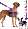 Lukovee No Pull Dog Harness and Leash Set - Adjustable Soft Padded Vest with Front Clip for Easy Control, Reflective Durable Harness for Safe Daily Training Walking for Medium Large Dogs (S, PU)