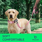 Airtag Dog Collar and Leash Set,Reflective Ultra-Durable Nylon Padded with QR Buckle & IP68 Waterproof Air Tag Holder Compatible for Apple AirTag, Comfortable for Small Medium Large Dogs (Pink Set,M)