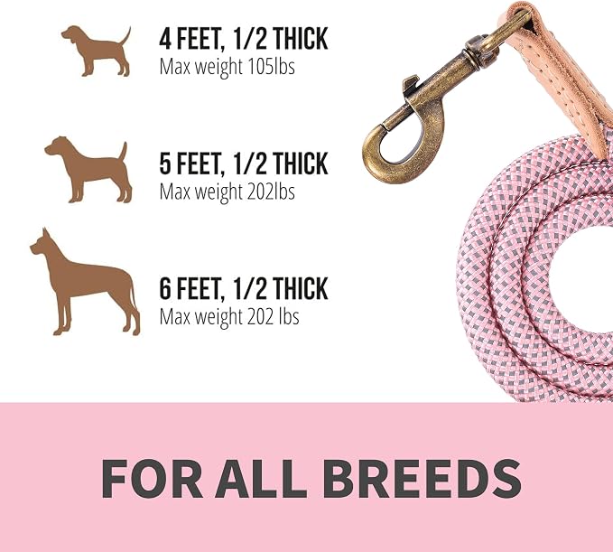 Mile High Life Dog Leash with Genuine Leather Connection, Reflective | Rope Leash, Heavy Duty 360° Swivel Metal Clasp, for Small Medium & Large Dogs Walking (Pink, 48 Inch-1/2)