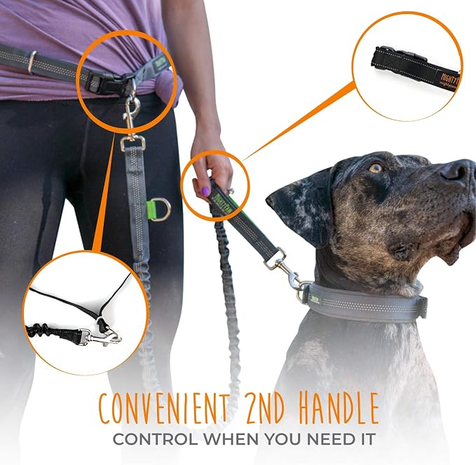 Mighty Paw Hands Free Dog Leash | Bungee Waist Leash for Dog Walking. Pet Running Hands Free Tether for Large, Medium & Small Breeds. Pet Waist Belt (36" - 48") Up to 150 lbs - Black