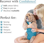 BellyGuard Dog Surgery Recovery Suit, Post-Op Dog Recovery Suit for Female Spay & Male Neuter, Comfy Onesie for Pets, Surgical Body Cover for Canine Healing Support
