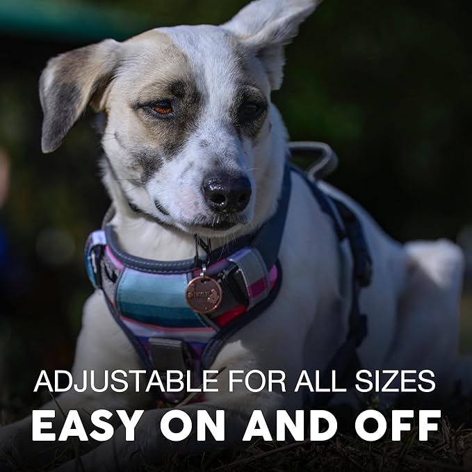 Embark Adventure XL Dog Harness – No-Pull, Reflective Trim, Military-Grade Nylon, 2 Leash Clips with Gel-Lined Handle, Soft & Padded