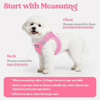 rabbitgoo Dog Harness Medium Sized and Leash Set, Step-in Puppy Pet Vest | Light, Soft, Breathable Air Mesh, Easy on and Remove with Hook & Loop, Secure Reflective for Walking, Light Pink XXL