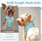 rabbitgoo Dog Harness Small Sized and Leash Set, Step-in Puppy Pet Vest | Light, Soft, Breathable Air Mesh, Easy on and Remove with Hook & Loop, Secure Reflective for Walking, Mint Blue XS