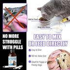 Cat Gingivitis Treatment Liquid 100ml - Cats Dental Care Clean Teeth & Gums, Eliminate Bad Breath, Natural Extracts Lessen Tartar & Plaque, Include 3 ml Dropper with Cap