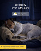 Furbo 360° Dog Camera [Paid Plan Required to Activate] | Stay connected with AI Dog & Home Safety Alerts, Treat Toss, Auto-Tracking, Video History, 2-Way Audio (Subscription 3mo min)