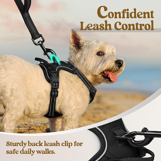 rabbitgoo Dog Harness No Pull with 2 Leash Clips, Adjustable Soft Padded, Reflective Oxford No Choke Pet Vest with Easy Control Handle for Puppy, Black, XS | No Choke with Handle, Adjustable Soft Padded, Reflective, Easy Control for Walking, Black, X-S...