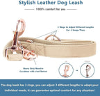 Soft Leather Dog Collar and Leash (6.6') Set - Stylish Rose Gold Heavy Duty Metal Buckle, 4 Adjustable Lengths Leash for Small Medium Large Dogs - Comfortable & Easy to Clean Beige XS(8"-12")