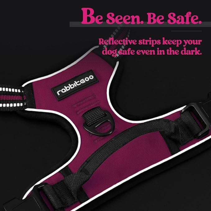 rabbitgoo Dog Harness, No Pull for Large Dogs with 2 Leash Clips, Pet Vest | No Choke with Handle, Adjustable Soft Padded, Reflective, Easy Control for Walking, Hot Pink, Large