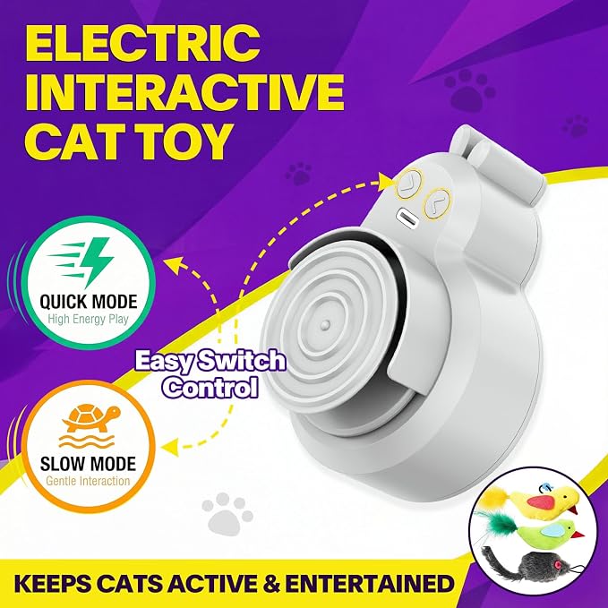 Interactive Cat Toys for Indoor Cats: Automatic Electric Flying Bird Feather & Mouse Wand, Rechargeable Electric Hanging Play Chase Exercise Moving Enrichment Toy for Bored Kittens and Adult Cats | CATPICK Rechargeable Door Frame Hanging Play Chase Exe...
