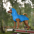 Blue Dog Raincoat with Reflective Strip Hoodie, Waterproof Poncho，2XL | Reflective Safety Trim, Waterproof & Breathable, Adjustable Hood, Leash-Friendly Access Hole, Easy On & Off Design