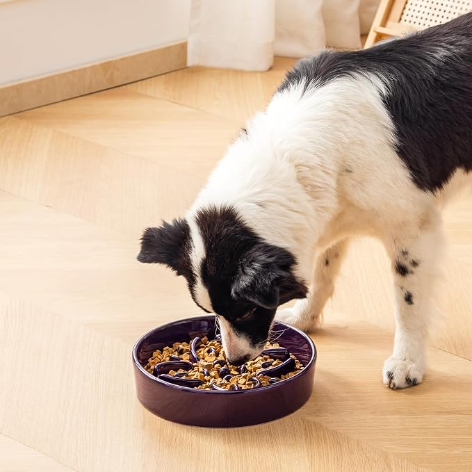 vancasso Ceramic Slow Feeder Dog Bowls, Puzzle Dog Food Bowls with Floral Maze, Anti -Slip Pet Food Dish for Large Breed, 3 Cups, Purple