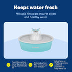 PetSafe Butterfly Cat Water Fountain, Pump & Filters, 50 oz Capacity | Butterfly Topper Creates 4 Water Streams, Replaceable Carbon and Foam Filter Keep Water Fresh and Clean