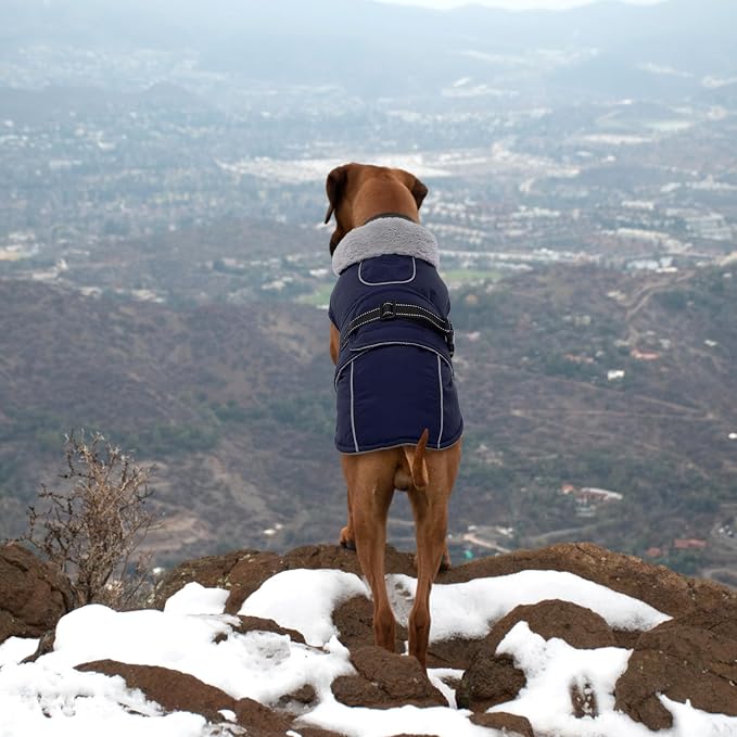 Lelepet Dog Jackets for Small Dogs Waterproof Dog Coat with Adjustable Fit | Reflective Fleece Vest with Adjustable Buckle Hook & Loop Windproof Cold Weather Coats for Small Medium Large Dogs, Shih Tzu